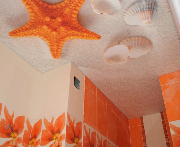 Натяжной потолок с фотопечатью в ванну