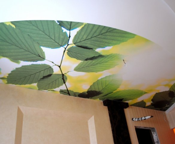 Натяжной потолок с фотопечатью листья