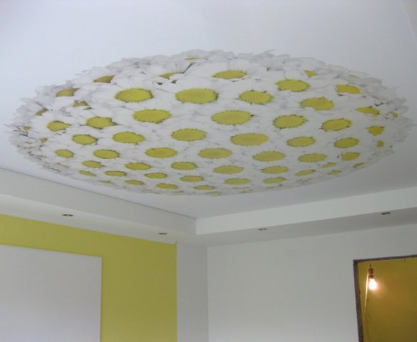 Натяжной потолок с фотопечатью ромашки