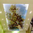 Натяжной потолок с фотопечатью природа