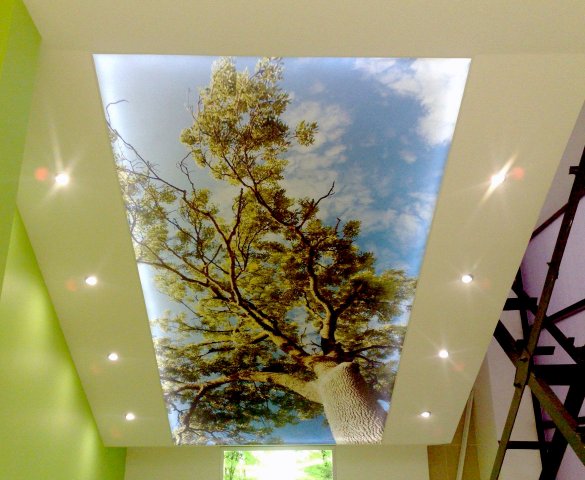 Натяжной потолок с фотопечатью природа